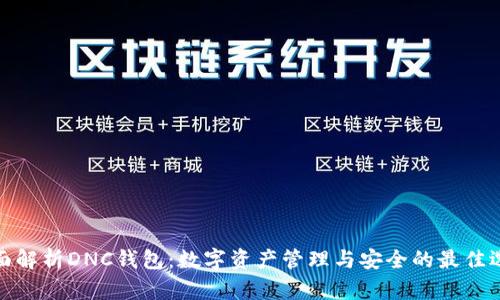 全面解析DNC钱包：数字资产管理与安全的最佳选择