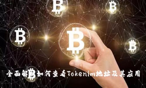 全面解析如何查看Tokenim地址及其应用
