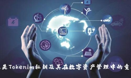 什么是Tokenim私钥及其在数字资产管理中的重要性