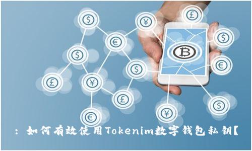 : 如何有效使用Tokenim数字钱包私钥？