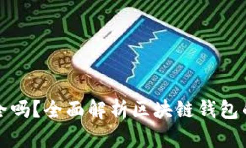 区块链钱包安全吗？全面解析区块链钱包的安全性与风险