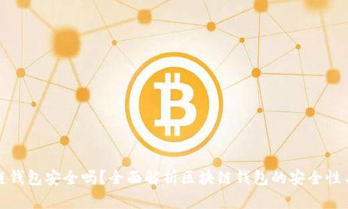 区块链钱包安全吗？全面解析区块链钱包的安全性与风险