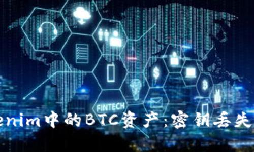 如何找回Tokenim中的BTC资产：密钥丢失后的解决方案