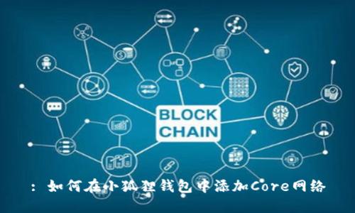: 如何在小狐狸钱包中添加Core网络