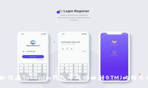 如何在Tokenim钱包中成功映射BTM（比特元）