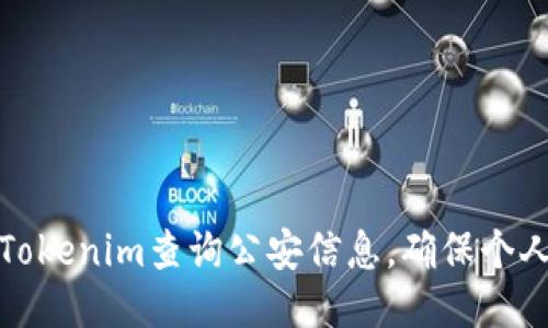 如何通过Tokenim查询公安信息，确保个人信息安全