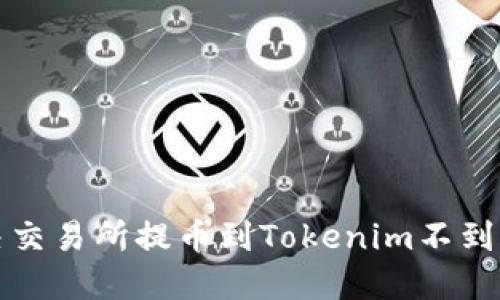 如何解决交易所提币到Tokenim不到账的问题