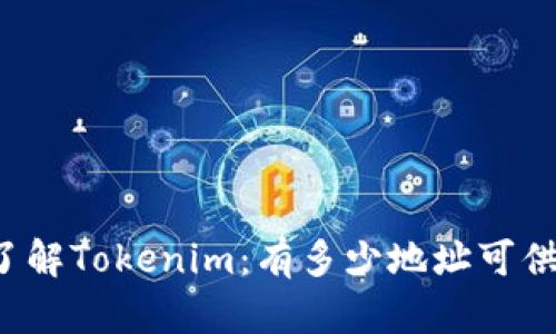 深入了解Tokenim：有多少地址可供使用？