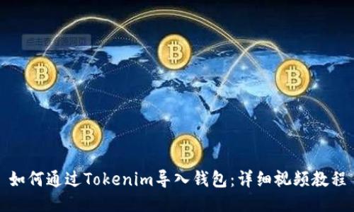 如何通过Tokenim导入钱包：详细视频教程