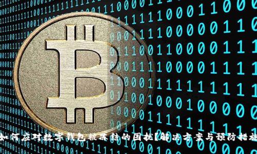 如何应对数字钱包被冻结的困扰？解决方案与预防措施