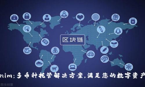 Tokenim：多币种托管解决方案，满足您的数字资产需求