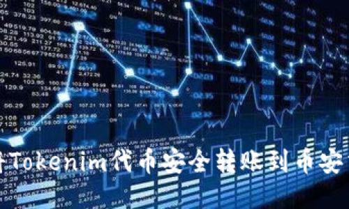 如何将Tokenim代币安全转账到币安交易所