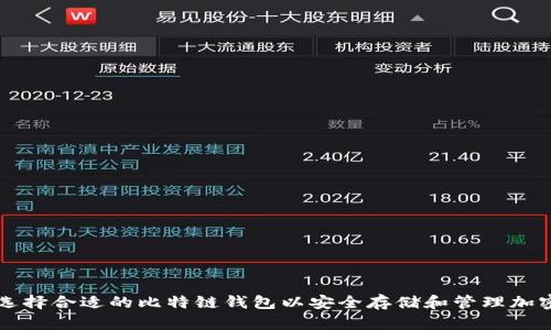 如何选择合适的比特链钱包以安全存储和管理加密货币