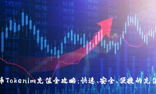 人民币Tokenim充值全攻略：快速、安全、便捷的充值体验