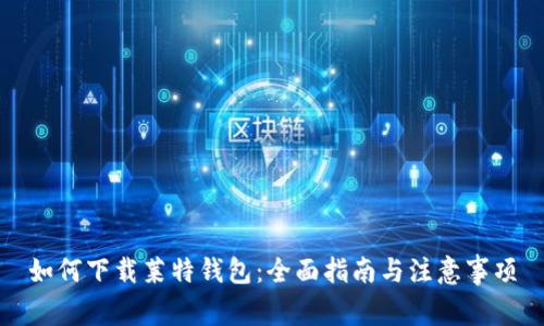 如何下载莱特钱包：全面指南与注意事项