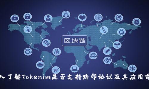 深入了解Tokenim是否支持路印协议及其应用前景