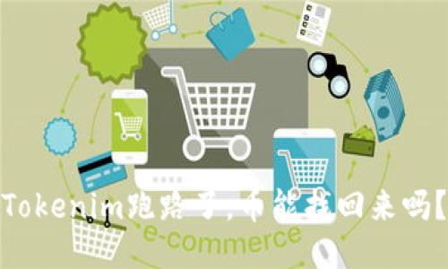 Tokenim跑路了，币能找回来吗？