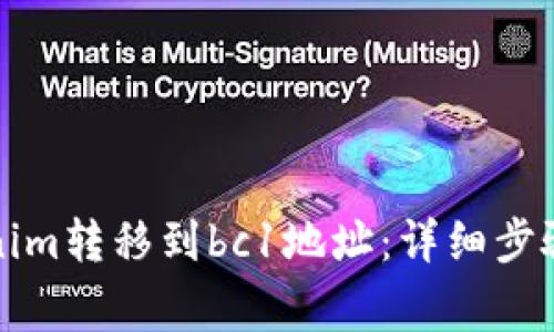 如何将Tokenim转移到bc1地址：详细步骤及注意事项