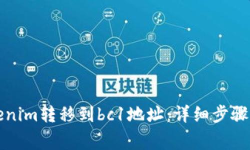 如何将Tokenim转移到bc1地址：详细步骤及注意事项