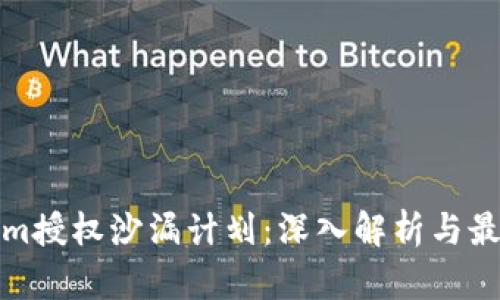 Tokenim授权沙漏计划：深入解析与最佳实践