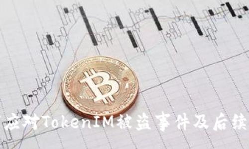 :
如何应对TokenIM被盗事件及后续处理