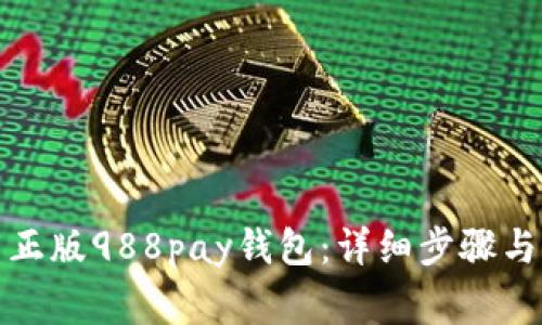如何下载正版988pay钱包：详细步骤与注意事项