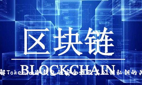理解Tokenim冷钱包的安全性及其公钥私钥的关系