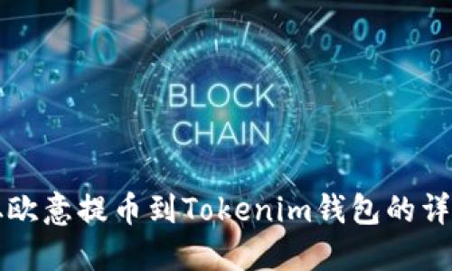 如何从欧意提币到Tokenim钱包的详细指南