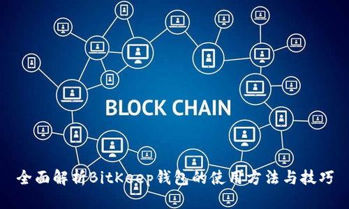全面解析BitKeep钱包的使用方法与技巧