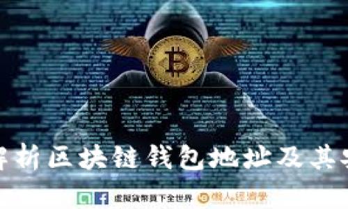 全面解析区块链钱包地址及其安全性