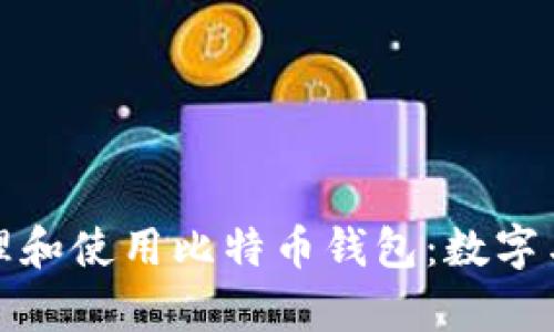如何安全管理和使用比特币钱包：数字与字母的奥秘
