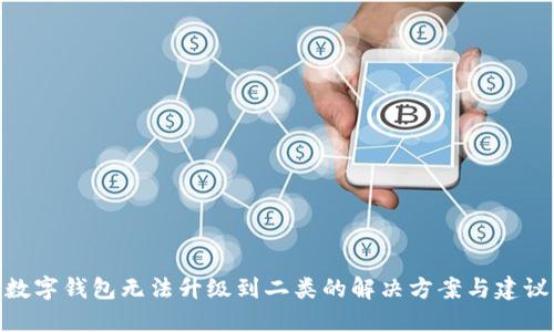 数字钱包无法升级到二类的解决方案与建议