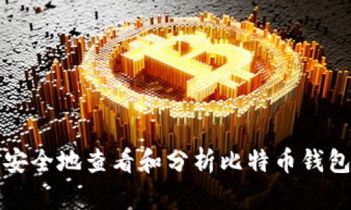 如何安全地查看和分析比特币钱包信息