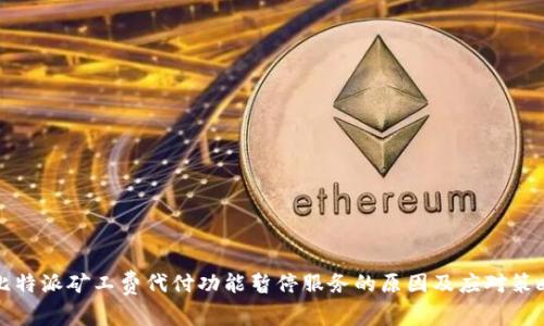 比特派矿工费代付功能暂停服务的原因及应对策略
