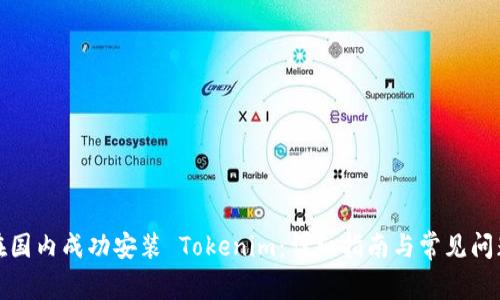 如何在国内成功安装 Tokenim：详细指南与常见问题解答