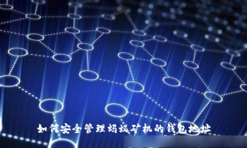 如何安全管理蚂蚁矿机的钱包地址