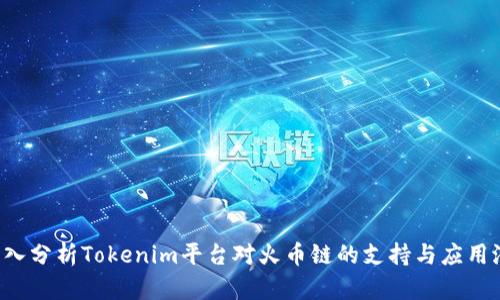  深入分析Tokenim平台对火币链的支持与应用潜力
