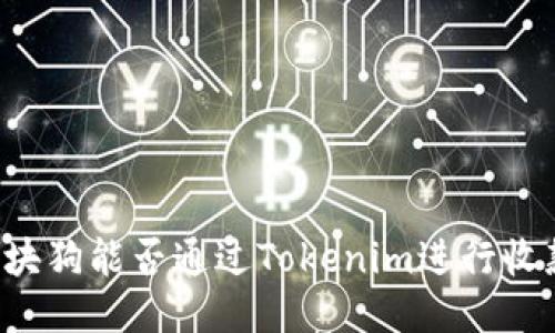 区块狗能否通过Tokenim进行收款？