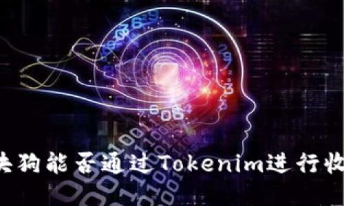 区块狗能否通过Tokenim进行收款？