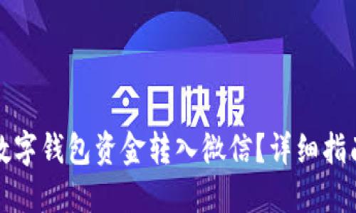 如何将数字钱包资金转入微信？详细指南与技巧