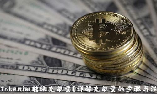 
如何为Tokenim转账充能量？详解充能量的步骤与注意事项