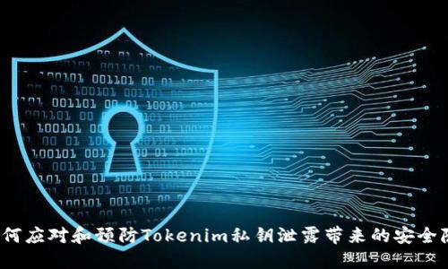  如何应对和预防Tokenim私钥泄露带来的安全隐患
