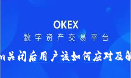 Tokenim关闭后用户该如何应对及解决方案