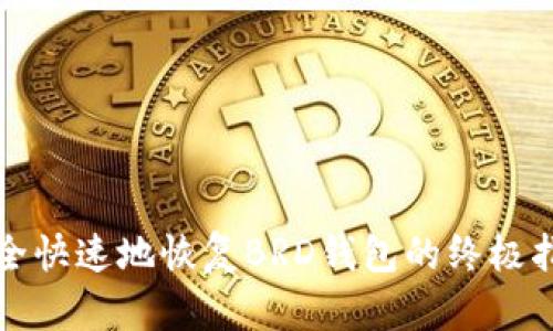安全快速地恢复BRD钱包的终极指南