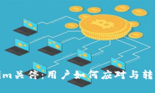 Tokenim关停：用户如何应对与转型策略