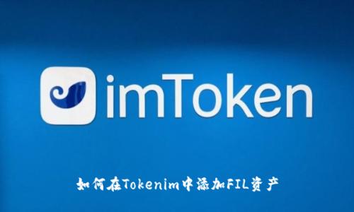 如何在Tokenim中添加FIL资产