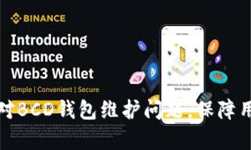 如何有效应对BCD钱包维护问题，保障用户资金安全