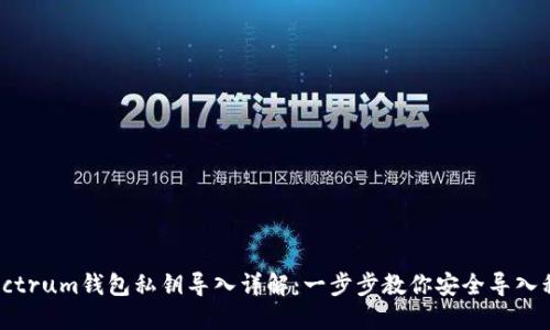 Electrum钱包私钥导入详解：一步步教你安全导入私钥