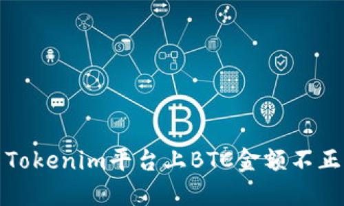 如何解决Tokenim平台上BTC金额不正确的问题