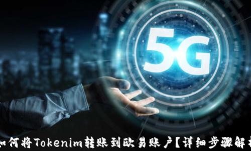 
如何将Tokenim转账到欧易账户？详细步骤解析